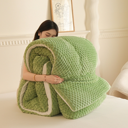 91家纺网 家纺一手货源 找家纺 （总）雅蔓依家纺 2025新款金龟绒龟背绒羊羔绒冬被被子被芯