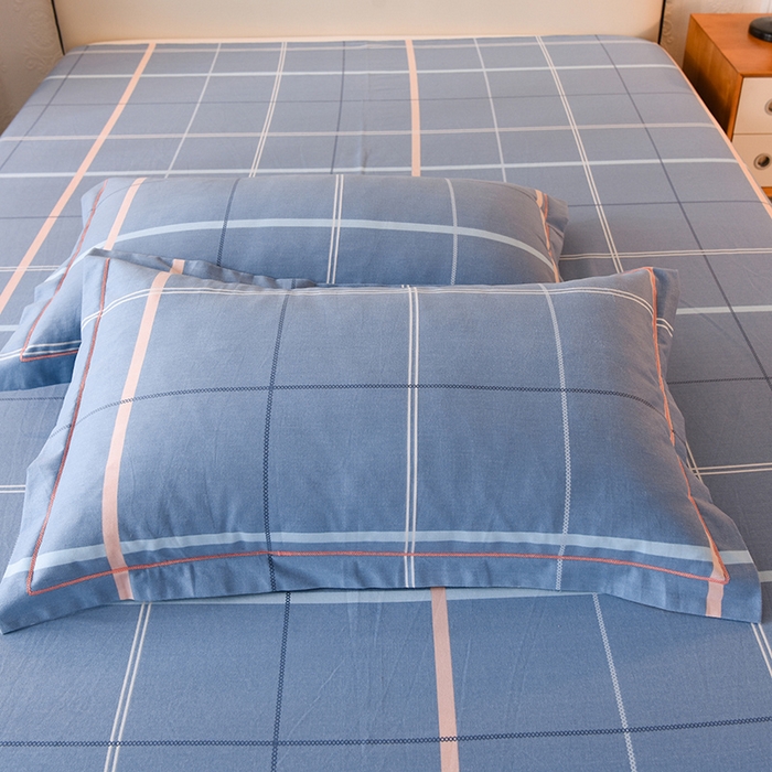 91家纺网 家纺一手货源 找家纺 简如  	2025新款全棉磨毛印花四件套 西索-蓝