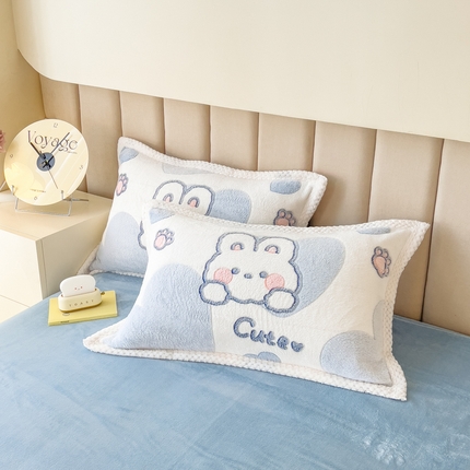 （总）2023新款立体6D雪花绒加厚保暖系列单枕套 48x74cm一对