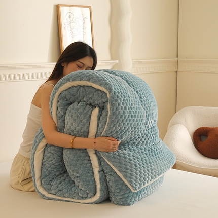 雅蔓依家纺 2025新款金龟绒龟背绒羊羔绒冬被被子被芯 唯美蓝灰