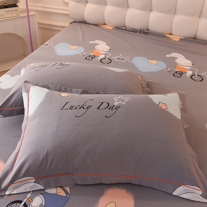 91家纺网 家纺一手货源 找家纺 简如   2025新款全棉磨毛印花四件套 彼得兔-灰