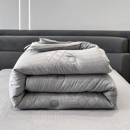 91家纺网 家纺一手货源 找家纺 （总）头等舱 2023新款润棉贡缎大提花A类20大豆抗菌秋冬被（基础款）