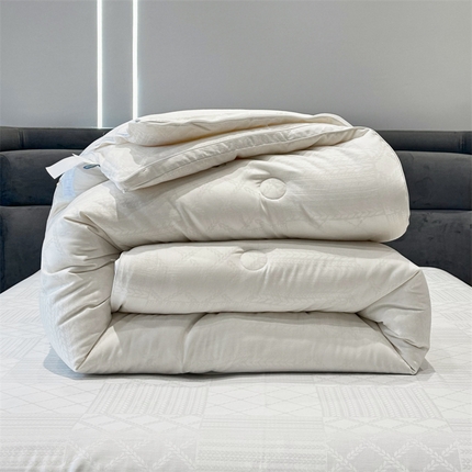 91家纺网 家纺一手货源 找家纺 （总）头等舱 2023新款润棉贡缎大提花A类20大豆抗菌秋冬被（基础款）