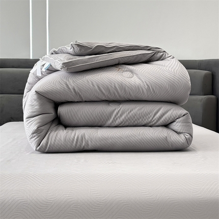 91家纺网 家纺一手货源 找家纺 （总）头等舱 2023新款润棉贡缎大提花A类20大豆抗菌秋冬被（基础款）