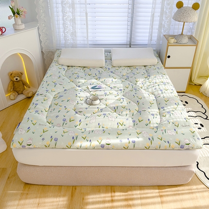 91家纺网 家纺一手货源 找家纺 （总）蓝冰家纺 2024新款蓝冰双层纱印花床垫