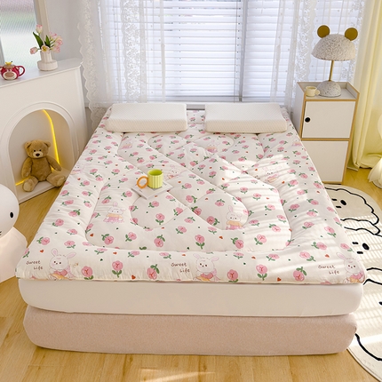 91家纺网 家纺一手货源 找家纺 蓝冰家纺 2024新款蓝冰双层纱印花床垫 曼塔玫瑰