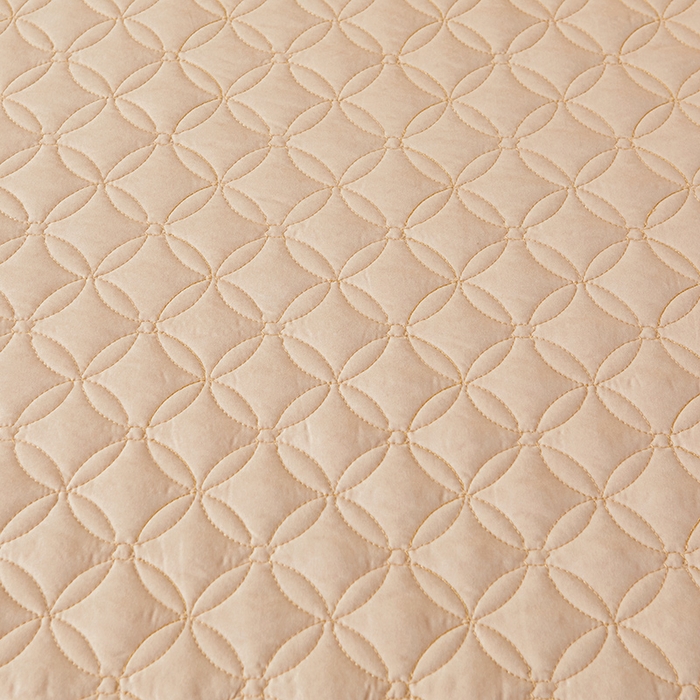 91家纺网 家纺一手货源 找家纺 罗艺轩 2024新款A类蛋白棉夹棉床裙-品味人生 品味人生-香槟