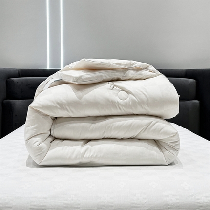 91家纺网 家纺一手货源 找家纺 （总）头等舱 2023新款润棉贡缎大提花A类20大豆抗菌秋冬被（基础款）