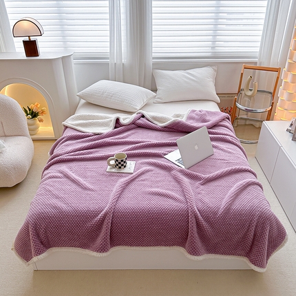 梵希良品家纺 2023新款玫瑰绒牛奶绒毛毯 优雅紫