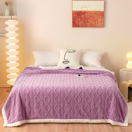 梵克保罗 2023新款直播热款高克重双面绒塔芙绒羊羔绒复合提花毯子毛毯盖毯 优雅紫