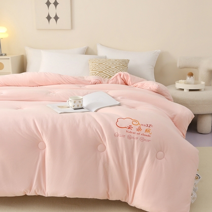 薇玛仕 2023新款A类云朵绒恒温大豆被春秋被加厚冬被 云朵绒-粉