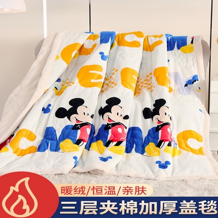 （总）芊禧 2023新款迪士尼卡通牛奶绒三层毯