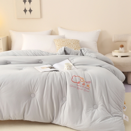 薇玛仕 2023新款A类云朵绒恒温大豆被春秋被加厚冬被 云朵绒-灰