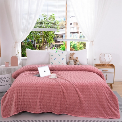 91家纺网 家纺一手货源 找家纺 （总）亦帆 2023新款直播爆款260克金龟绒毛毯法兰绒，珊瑚绒，牛奶绒，高克重毯