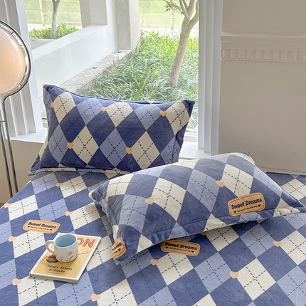 胜权2024牛奶绒枕套 英伦时光