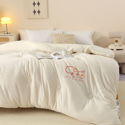 薇玛仕 2023新款A类云朵绒恒温大豆被春秋被加厚冬被 云朵绒--白