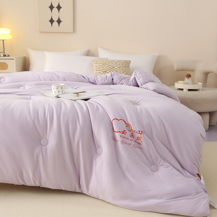 薇玛仕 2023新款A类云朵绒恒温大豆被春秋被加厚冬被 云朵绒-紫