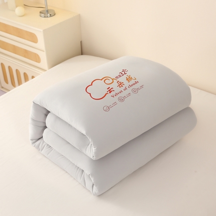 91家纺网 家纺一手货源 找家纺 薇玛仕 2023新款A类云朵绒恒温大豆被春秋被加厚冬被 云朵绒-灰