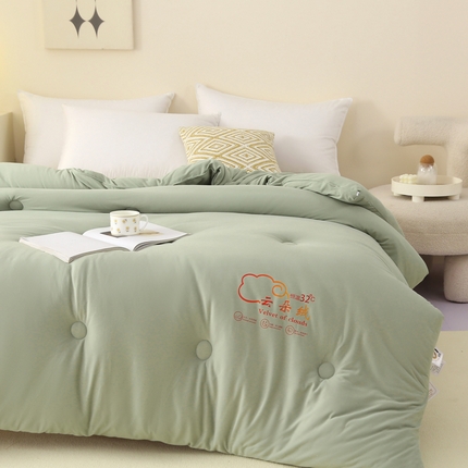 薇玛仕 2023新款A类云朵绒恒温大豆被春秋被加厚冬被 云朵绒-绿