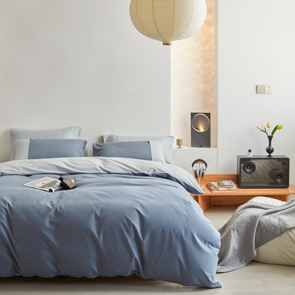 梦享生活家居 2023新款全棉碳素磨毛四件套秋冬季保暖加厚纯棉四件套简约现代风 青蓝