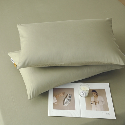 91家纺网 家纺一手货源 找家纺 2025新款纯棉纯色磨毛单品系列·枕套 云杉绿