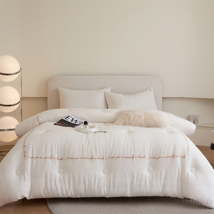 91家纺网 家纺一手货源 找家纺 （总）头等舱 2023新款全棉母婴A类双层纱20大豆抗菌秋冬被(拍摄2）