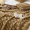 91家纺网 家纺一手货源 找家纺 佰汀 2024新款托卡兔毛宽条纹毛毯 咖啡