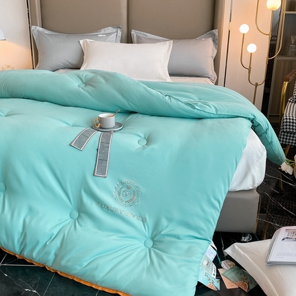 91家纺网 家纺一手货源 找家纺 （总）伊人居 2023新款香奈儿烫钻大豆被春秋被冬被【直播，电商爆款】【来量定做】