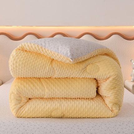 圣楚家纺  2024新款豆豆绒保暖冬被 小睡棉灰