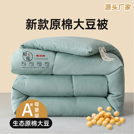 中国龙 2023款A类母婴级日式原棉无染大豆被冬被被子被芯 绿色