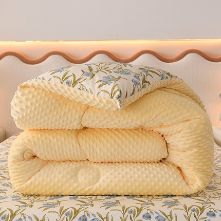 圣楚家纺  2024新款豆豆绒保暖冬被 清风微拂