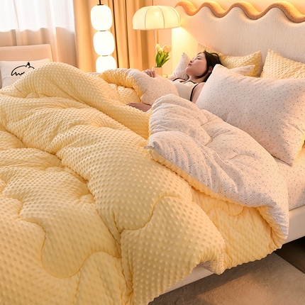 91家纺网 家纺一手货源 找家纺 （总）圣楚家纺  2024新款豆豆绒保暖冬被