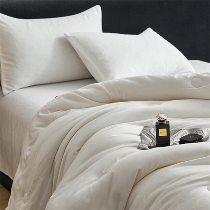 头等舱 润棉贡缎大提花A类20大豆抗菌秋冬被（基础款）拍摄2 格瑞塔本白