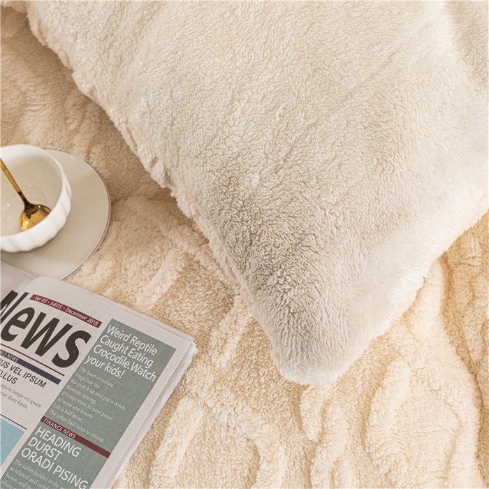 91家纺网 家纺一手货源 找家纺 悠米悠家 2025新款塔芙绒北极绒加厚冬被子被芯 米白色