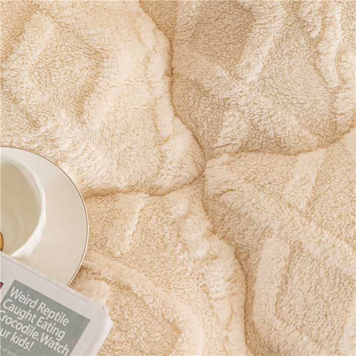 91家纺网 家纺一手货源 找家纺 悠米悠家 2025新款塔芙绒北极绒加厚冬被子被芯 米白色