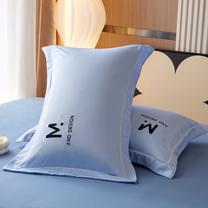 丰淘家纺 2023新款刺绣水洗真丝枕套 刺绣水洗真丝湖蓝