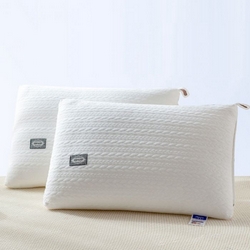 91家纺网 家纺一手货源 找家纺 （总）2023新款贡缎立体刺绣枕头枕芯