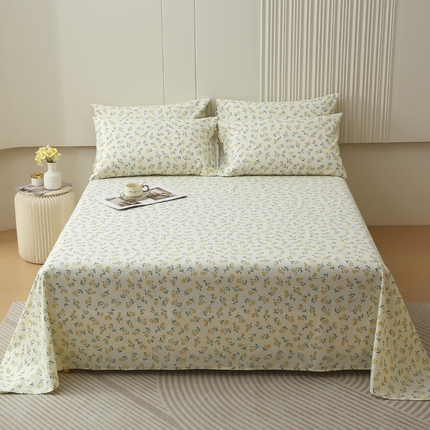 91家纺网 家纺一手货源 找家纺 （总）春皖家纺2023新款原棉磨毛回暖系列单床单 