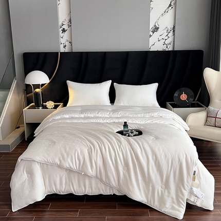 91家纺网 家纺一手货源 找家纺 桂雅居 2023新款婼熙小提花A类55金豆被 本白-子母被