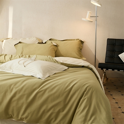 涞澳家纺 2023新款50磨绒双拼 樱草玉