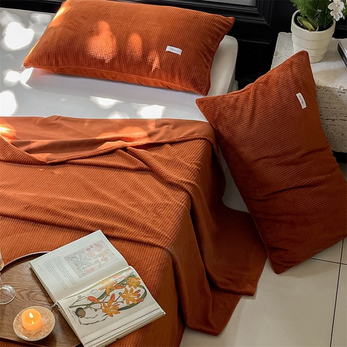 91家纺网 家纺一手货源 找家纺 时光里 2023新款全消光华夫格绒-单床单 焦糖