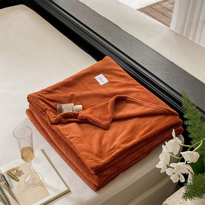 91家纺网 家纺一手货源 找家纺 时光里 2023新款全消光华夫格绒-单被套 焦糖