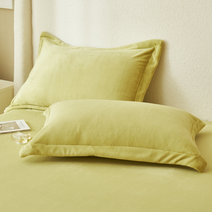 91家纺网 家纺一手货源 找家纺 艾佳 2025新款高克重加厚保暖牛奶绒床单 牛奶绒绿