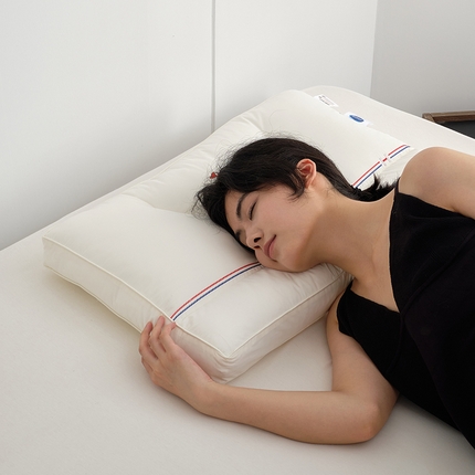 91家纺网 家纺一手货源 找家纺 方回家纺 2023新款英伦GO-2款枕头枕芯  harbor house萌宠GO 软管