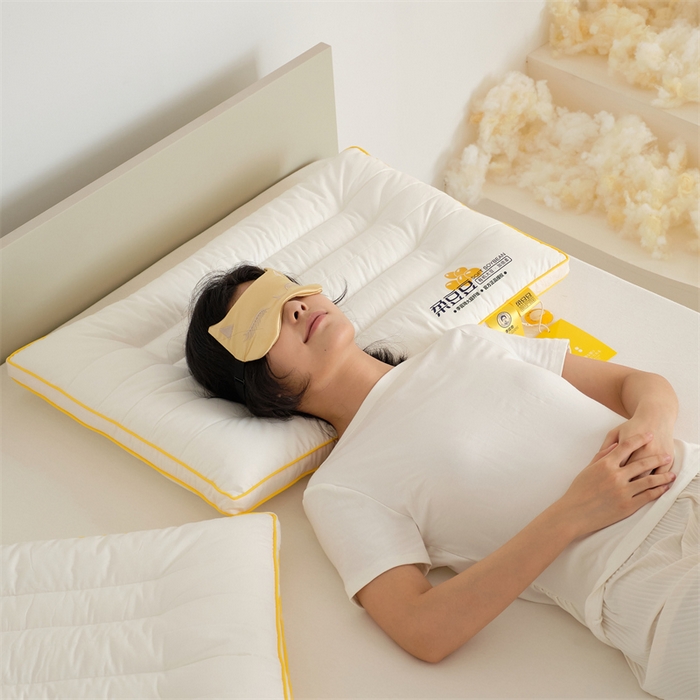 91家纺网 家纺一手货源 找家纺 方回家纺 2023新款李官奇绗缝低平大豆枕枕头枕 成人立体定型枕