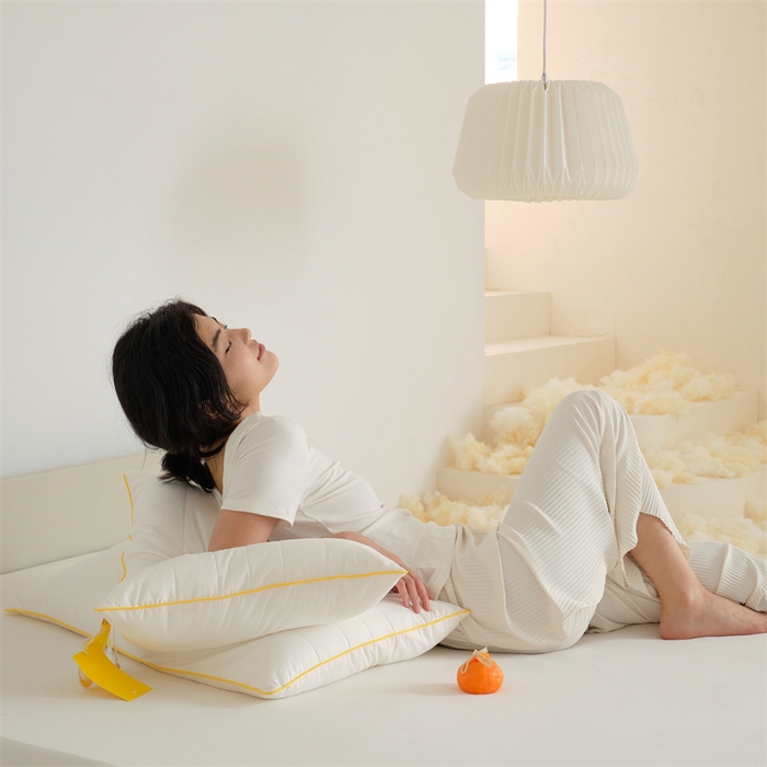 91家纺网 家纺一手货源 找家纺 方回家纺 2023新款李官奇绗缝枕枕头枕芯 成人单边枕