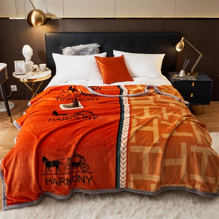 91家纺网 家纺一手货源 找家纺 （总）宅部落 2023新款双层加厚云貂绒被套毯