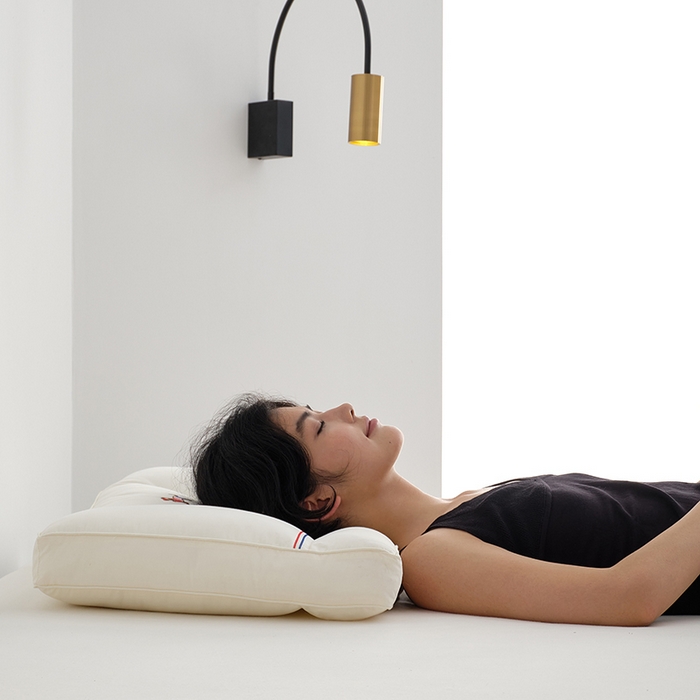 91家纺网 家纺一手货源 找家纺 方回家纺 2023新款英伦GO-2款枕头枕芯  harbor house萌宠GO 软管