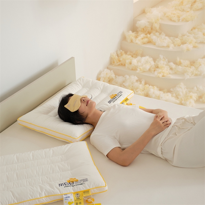 91家纺网 家纺一手货源 找家纺 方回家纺 2023新款李官奇绗缝低平大豆枕枕头枕 成人立体定型枕