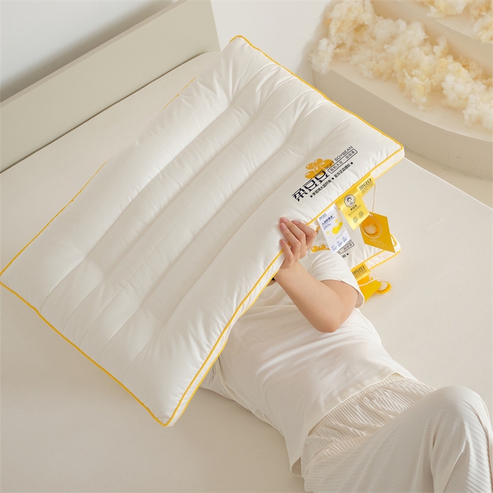 91家纺网 家纺一手货源 找家纺 方回家纺 2023新款李官奇绗缝低平大豆枕枕头枕 成人立体定型枕